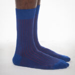 SM Oxford Lines thumbnail