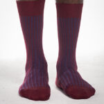 SM Oxford Lines thumbnail